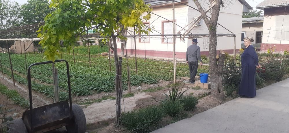 Тошкент вилояти, Зангиота туманида 18 сотихли ховли жой сотилвоти