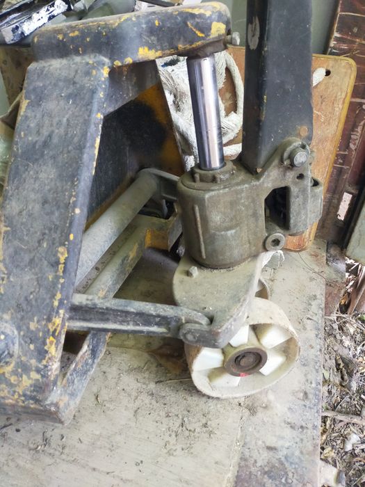 Рохля рохля рохля