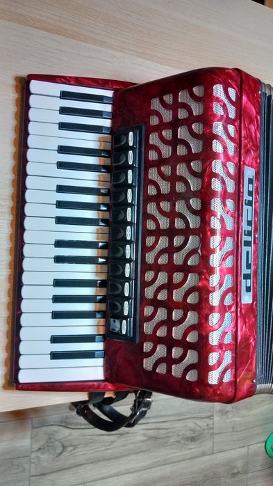 Acordeon DELICIA carmen 24 cu 96 basi