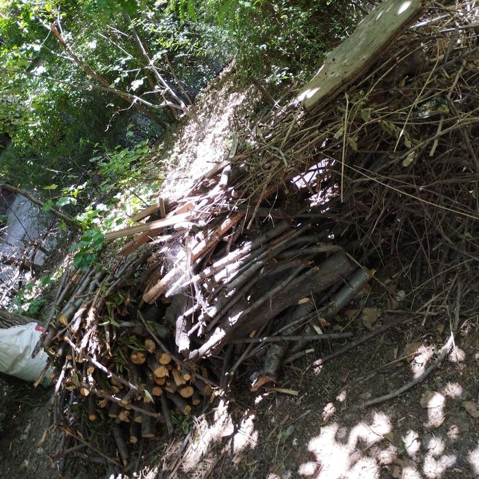 O'tin arzonga, har xil Yunusobod