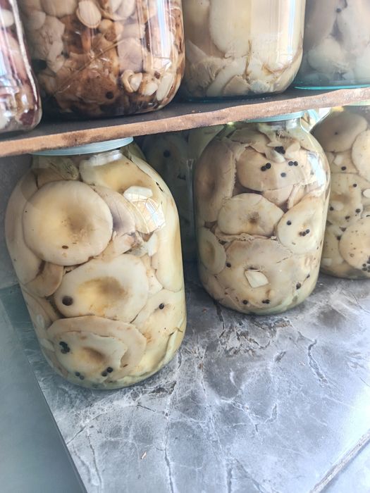 Грибы маринованные грузди