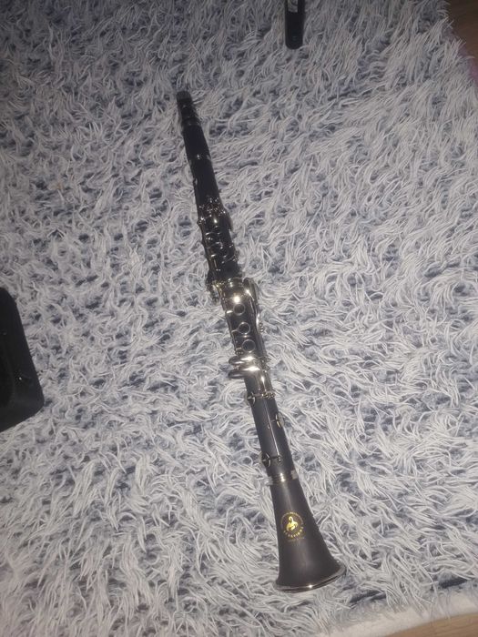 vand clarinet din 2025 nou nout 350 lei medgidia cine e Interesant