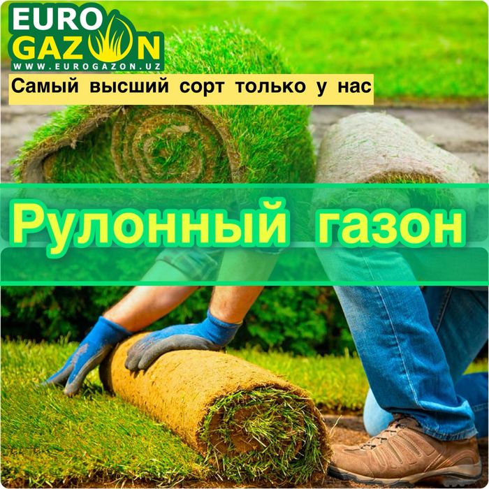 Укладка газона | tabiy gazon o’rnatamiz | Gazon ekish