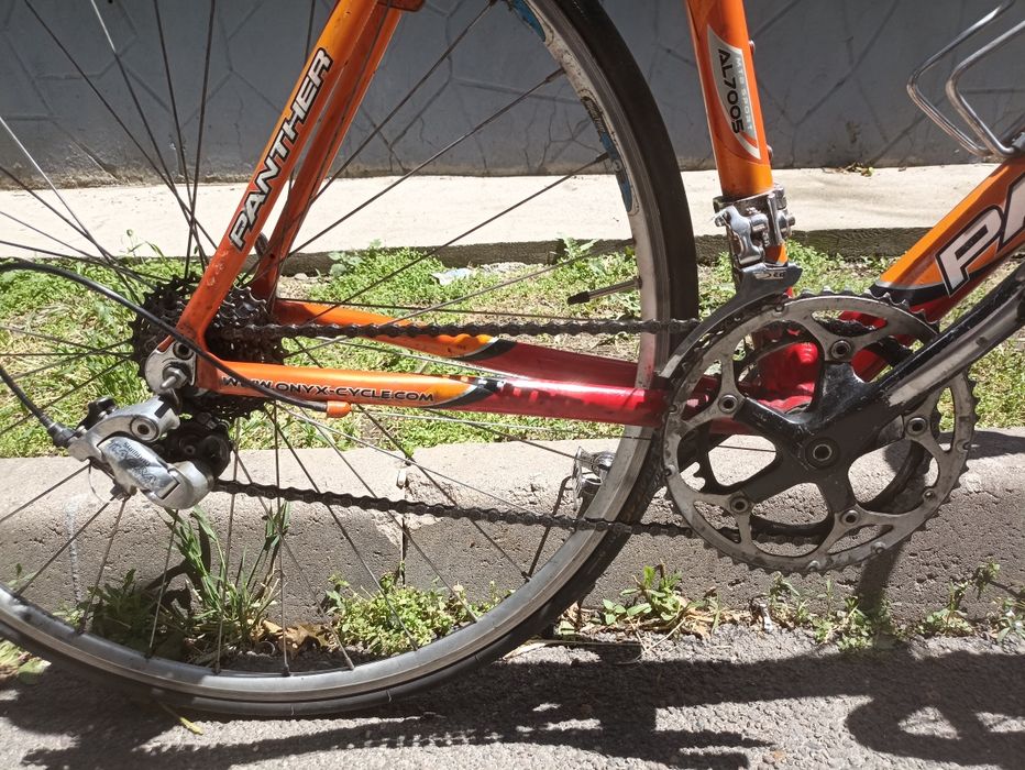 Panther Pro Race 6000 XL