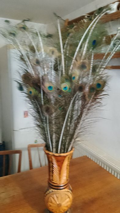 Decorațiuni cu pene de păun