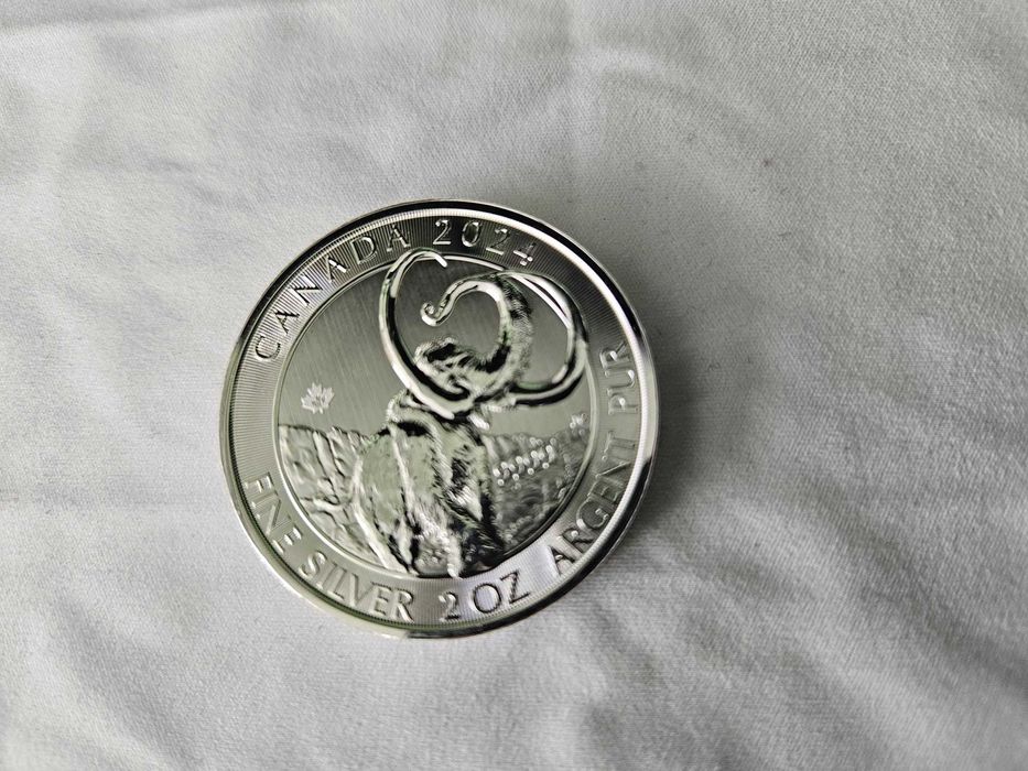 Сребърни кленов, панда, кукабура,  коала, орел, лунари, ноев ковчег