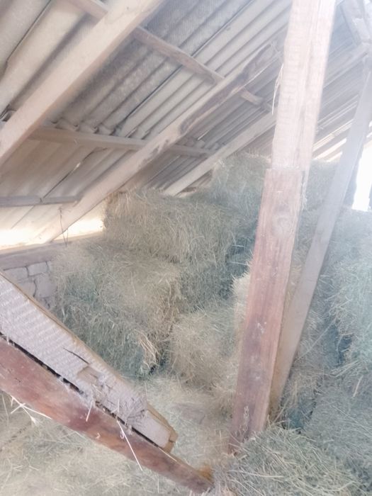 Сено прес большие пресы