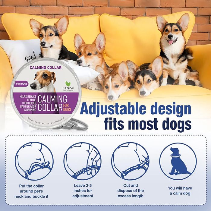 Успокояващ нашийник за кучета – Calming Collar