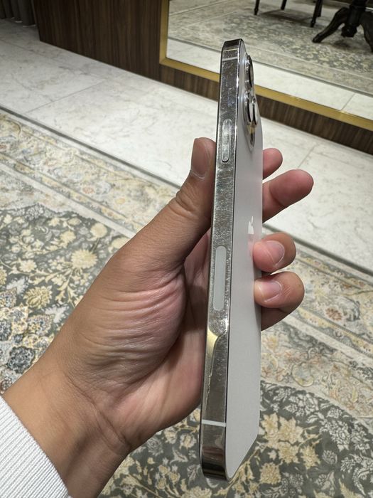 Iphone 12 Pro Max 256GB