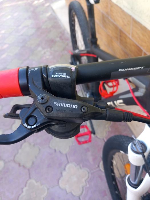 FOCUS 29 цола. .