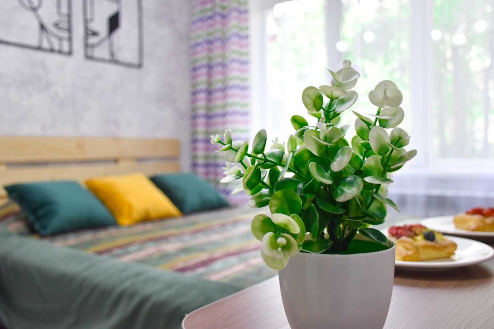 YourHouse шикарный вариант студии выше Атакента