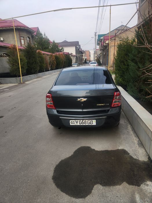 Kobolt 2019 sotiladi