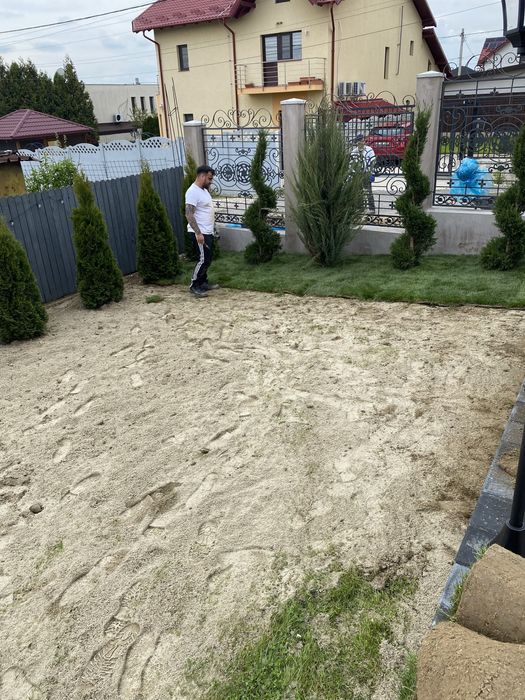 Gazon rulou și plante ornamentale