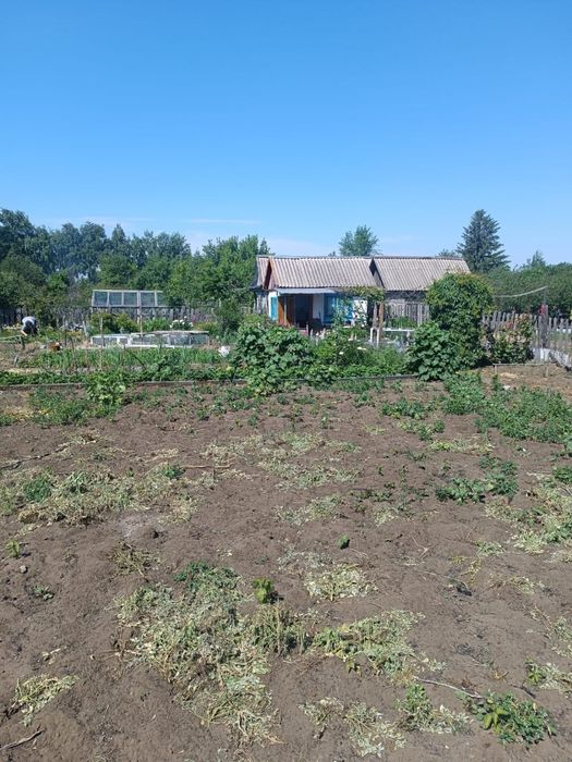 Продам дачу сад Здоровье