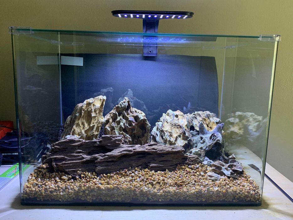 ACVARII  la comandă la cele mai  bune prețuri ! Comanda acum !