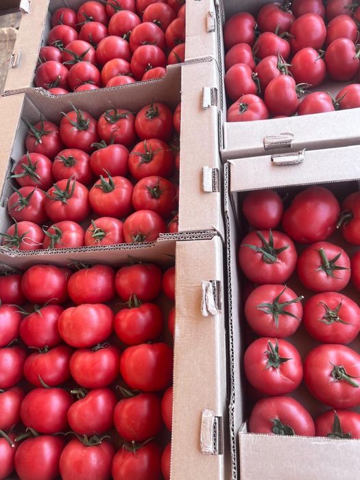 Бесплатная доставка овощи и фруктов!