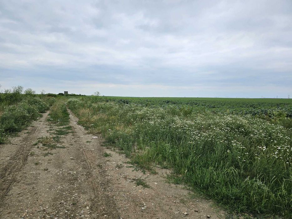 Planul I 14.832 mp Slatina bucla Drum Expres DX12 - DJ 546