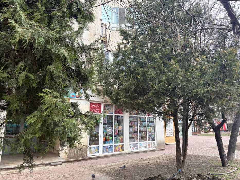 Spațiu comercial de închiriat, 28 mp, Esplanada Nicolina, Iași
