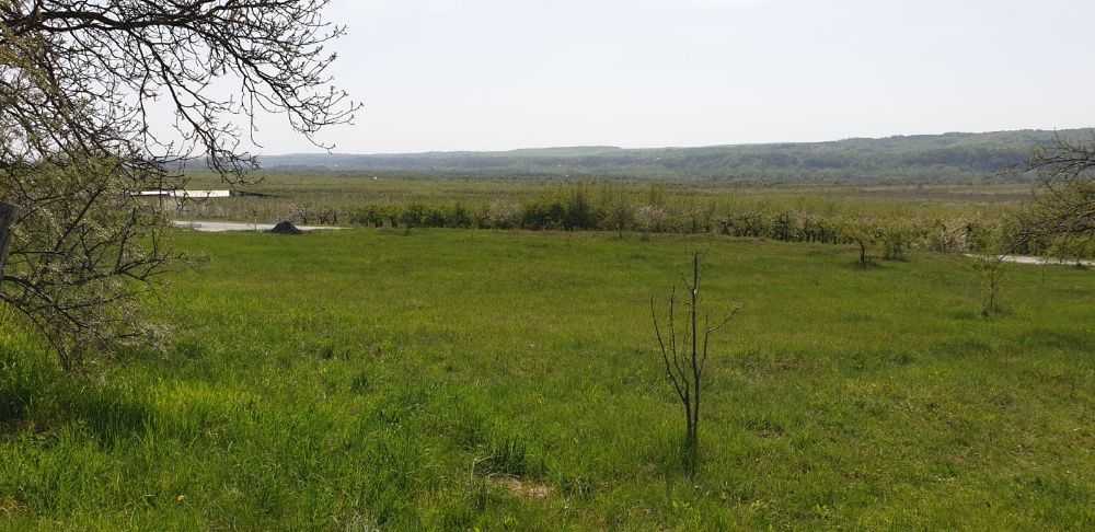 Teren vanzare Izvoarele, Voinesti, Dambovita 2298m2
