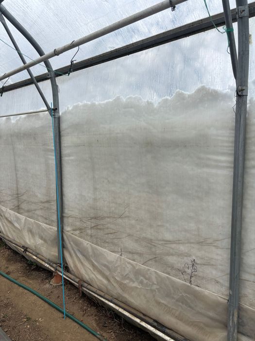 Solar legume profesional zincat