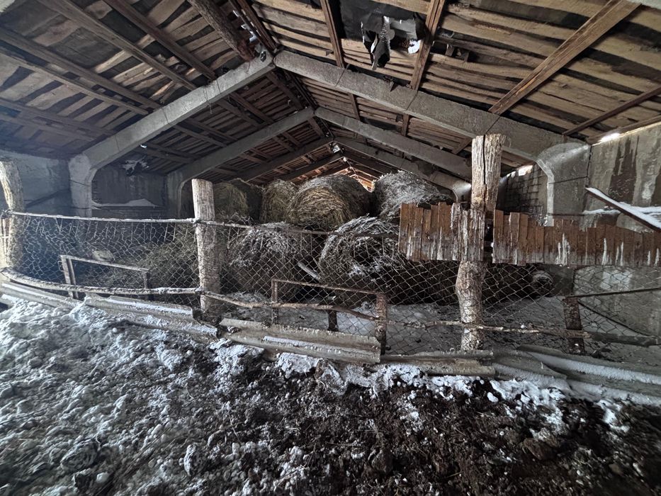 Шаруа қожалығы сатылады