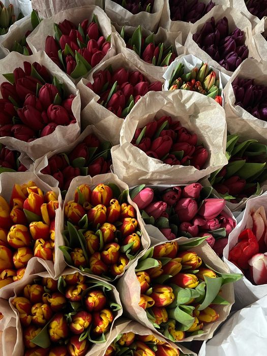 Местные тюльпаны оптом
