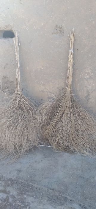 Ko‘cha supuradigan supurgi