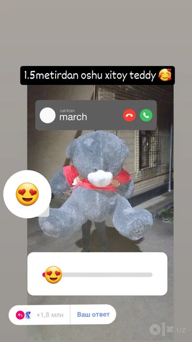 Teddy 1yarim metirlisi