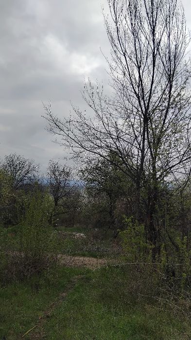 Продава се Парцел в Кюстендил, Бял камък - 1200 кв.м за 10 €/кв.м - Снимка #2