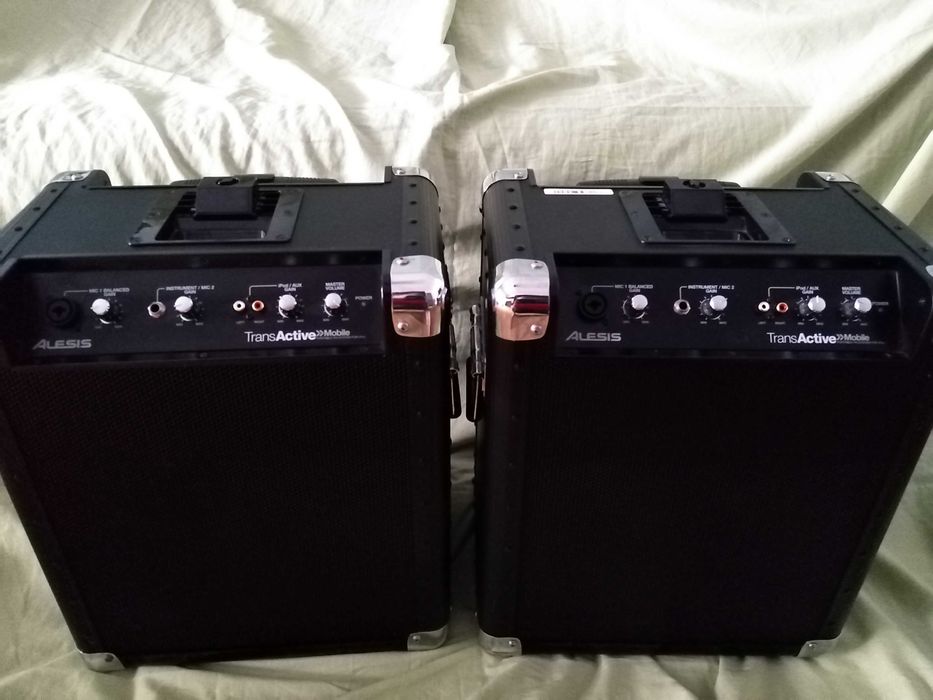 Boxe Alesis portabile