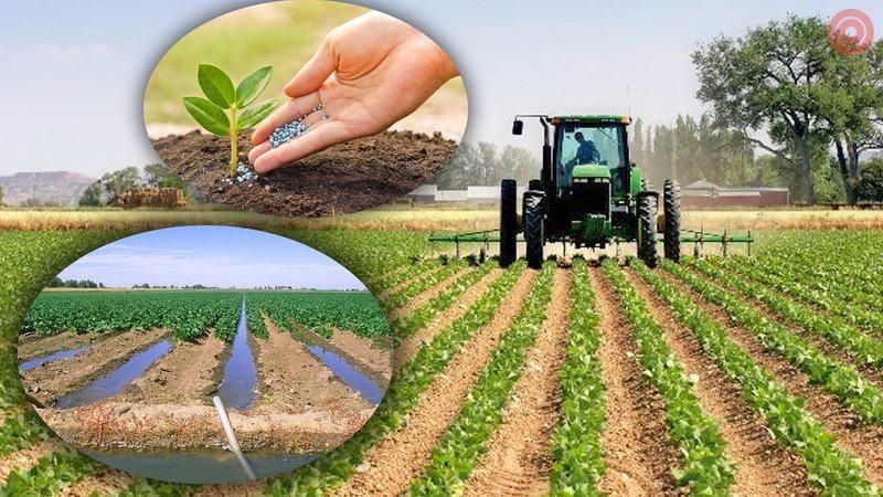 Дехкончилик учун 4 г ер ижарага берилади