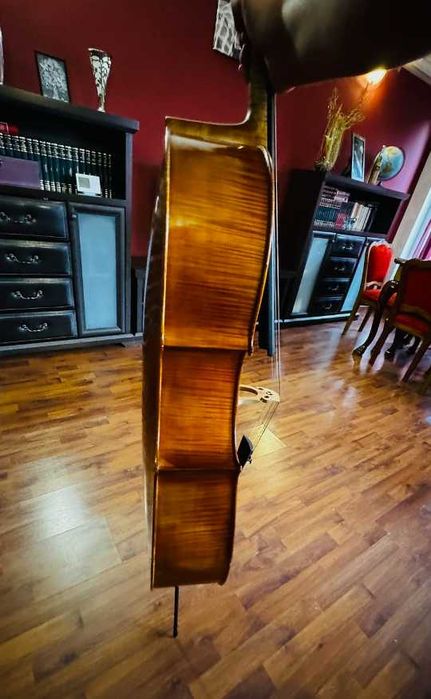 Violoncel Alexandru Ozon