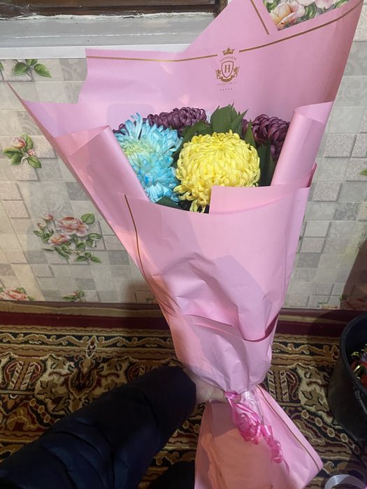 Свежый гул бугінгі