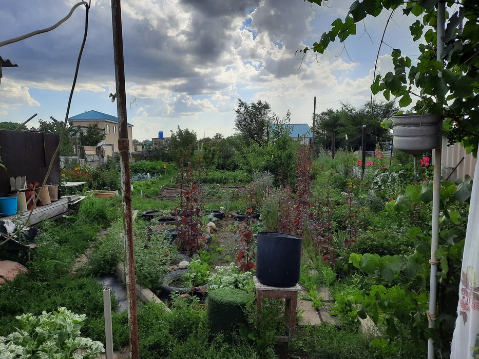 Продам дачу 8 соток