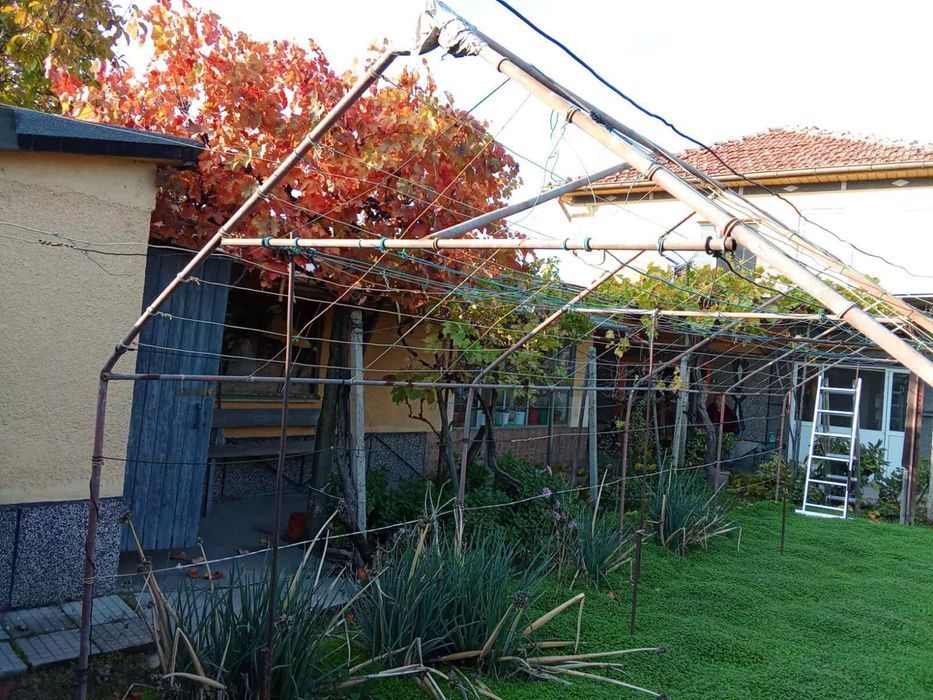 Голяма и Малка Оранжерия