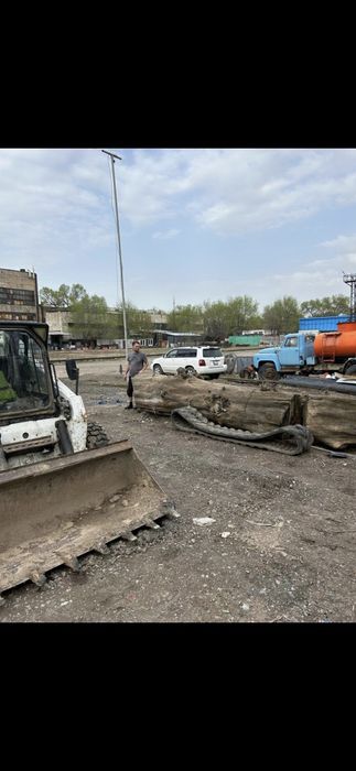 Бревно породы карагача