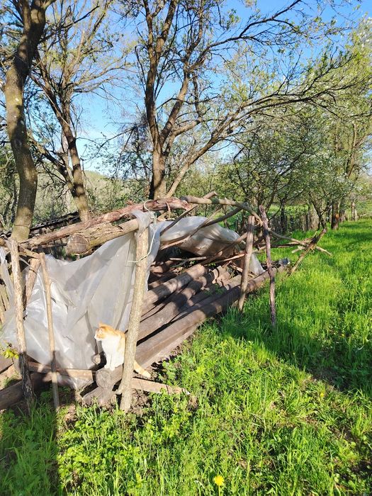 Căpriori de stejar