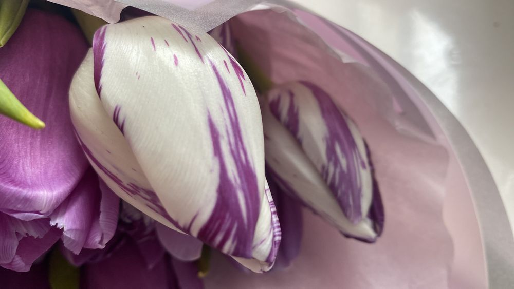 Тюльпаны готовые букеты