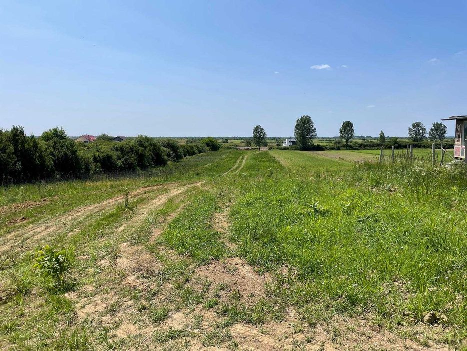 1.3 hectare teren intravilan Seini de vanzare, toate utilitățile, asfalt la ambele capete, construibil, acces triplu