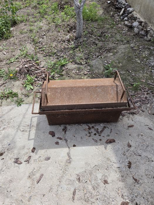 Коктальница для сазана