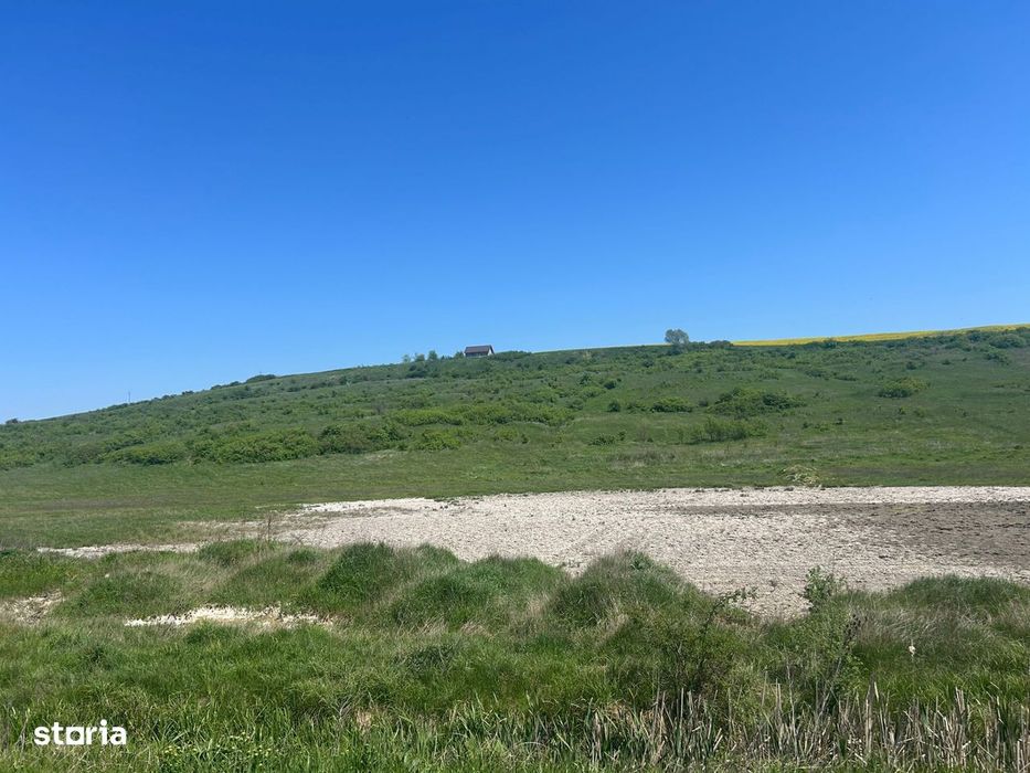 TEREN EXTRAVILAN 15.000 mp | Miroslava – Valea Adanca | 25 €/mp