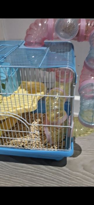 Клетка для хомяков срочно
