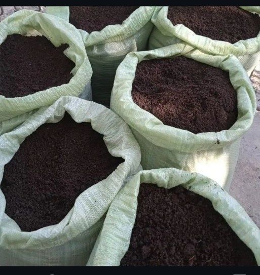 Biogumuz tabiiy òĝut