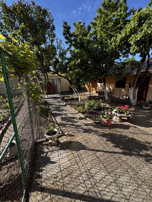 OCAZIE! Două Case (Singur în Curte)