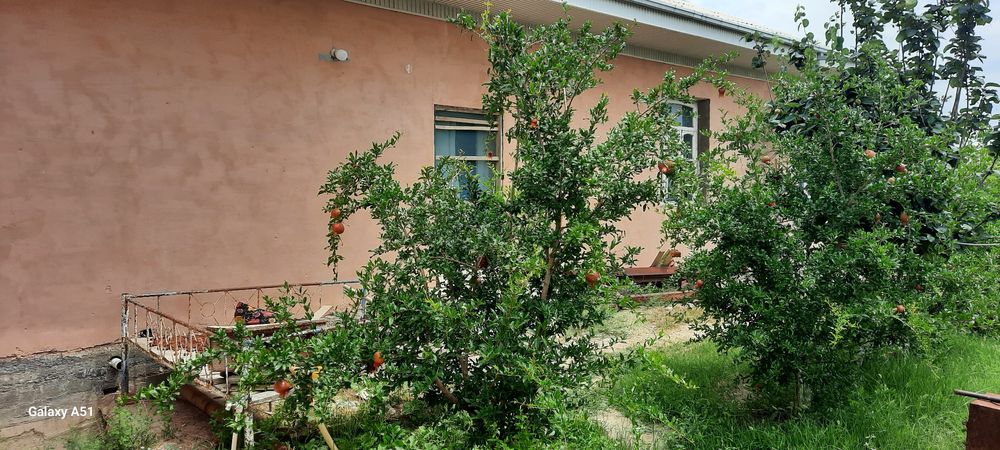 Дом на земле природа