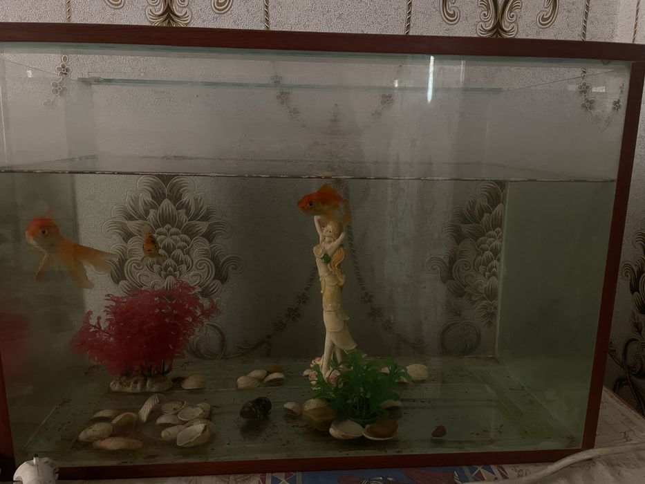 Аквариум 60литр