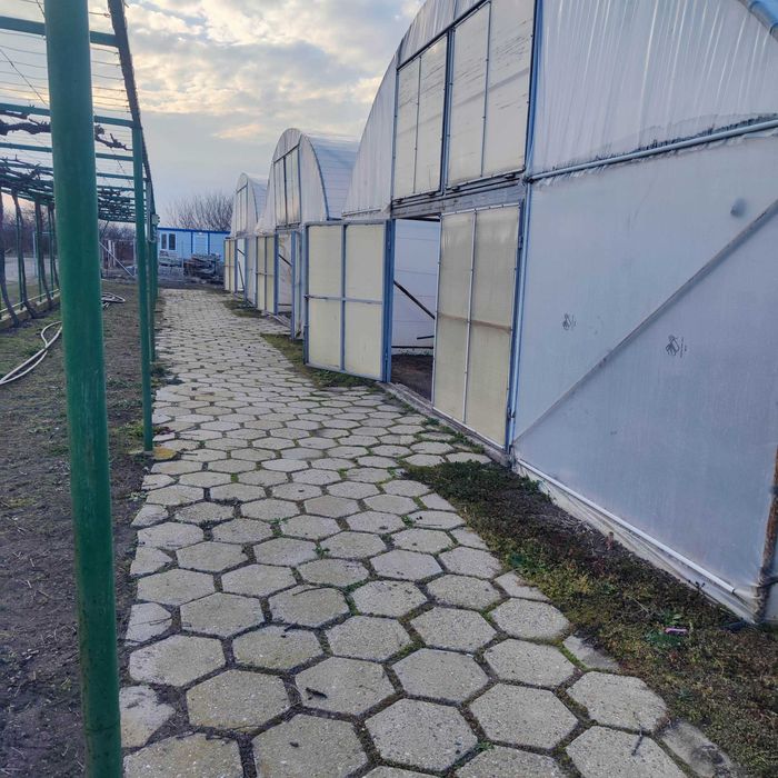 Дава се под наем Земеделски имот в Стара Загора, Център -  кв.м за 2244 € - Снимка #3