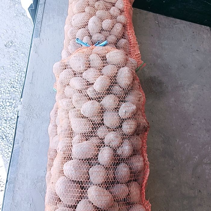 Cartofi cu miez galben