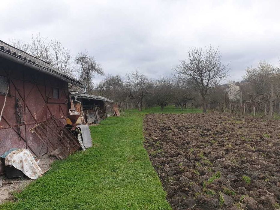 Vand casa cu livada  in Berevoesti Arges
