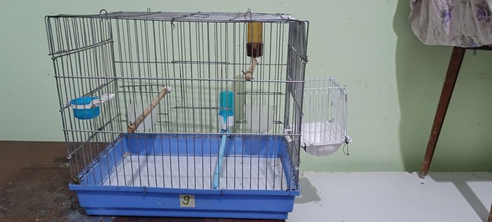 Кафас канарейки сотилади